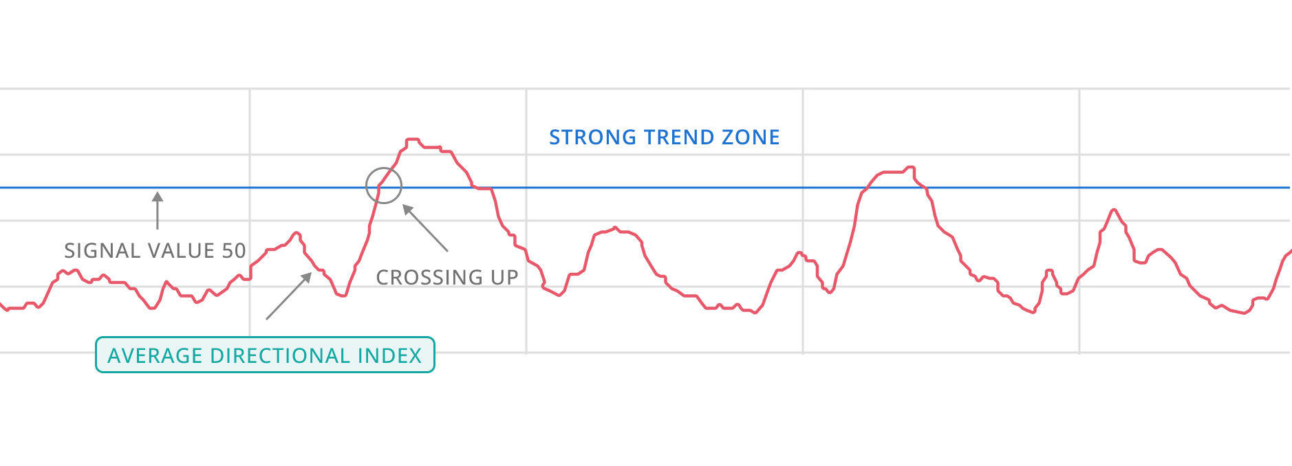 entry graph